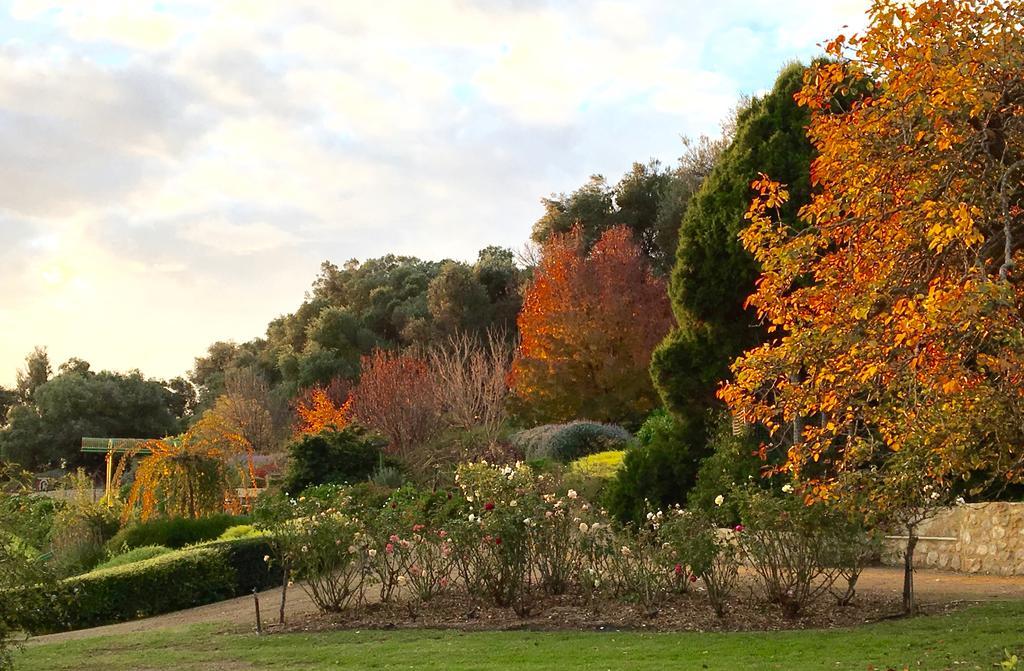 The Garden Cottage At The Olives Yankalilla Esterno foto
